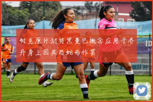 耐克原计划将黑曼巴概念应用于乔丹身上因其恐蛇而作罢